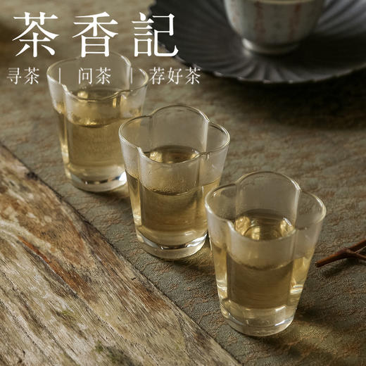 茶香记 不争普洱生茶023 班盆古树 春秋拼配 干果香 馥郁甜柔 商品图5