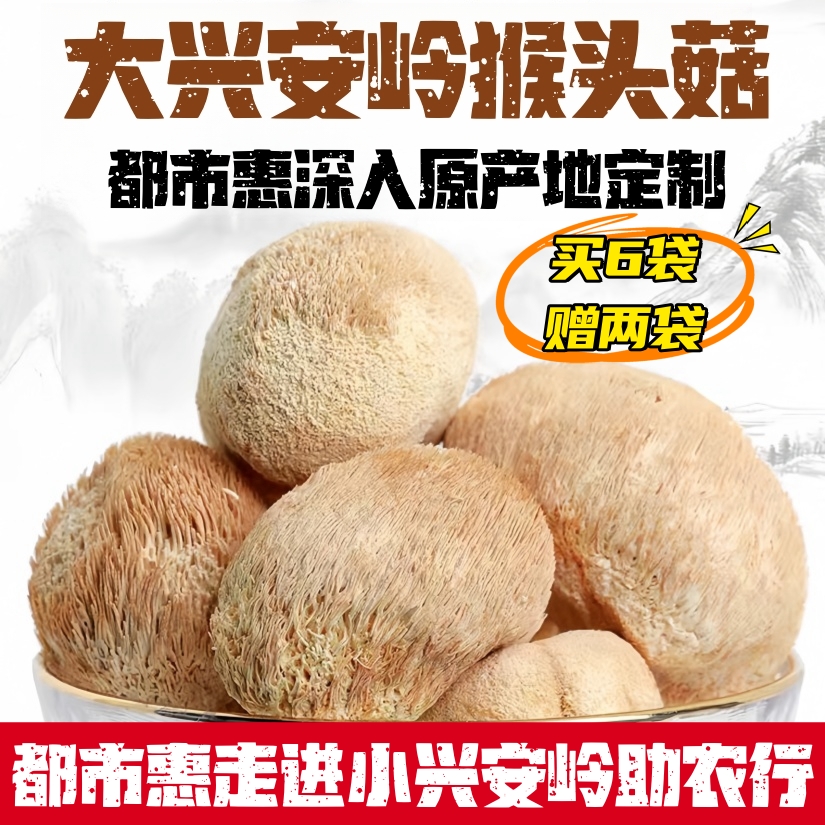 热销【都市惠定制】大兴安岭猴头菇