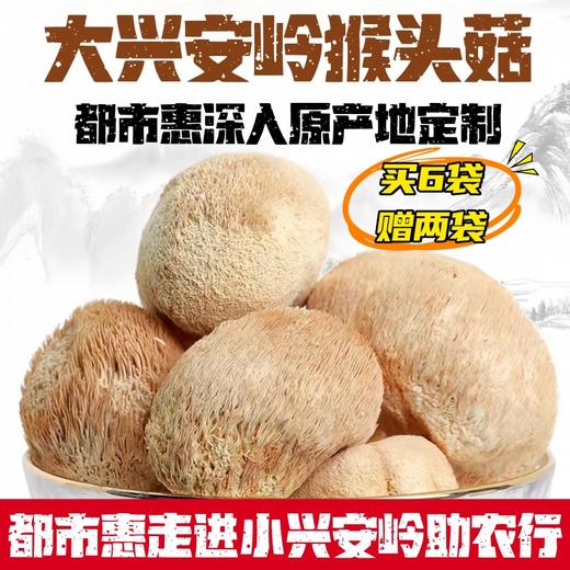 热销【都市惠定制】大兴安岭猴头菇 商品图0