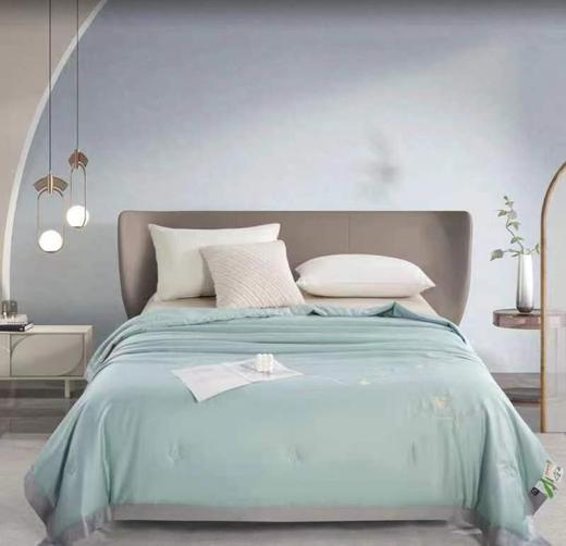 罗曼罗兰天丝夏被200x230cm 商品图0