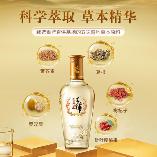 【全新升级】500ml42度毛铺金荞酒升级标准版 商品图6