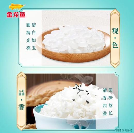 6听赠：米 金龙鱼品牌5Kg 稻香贡米 5.0高蛋白 一级米 贡米 生态农场 商品图3