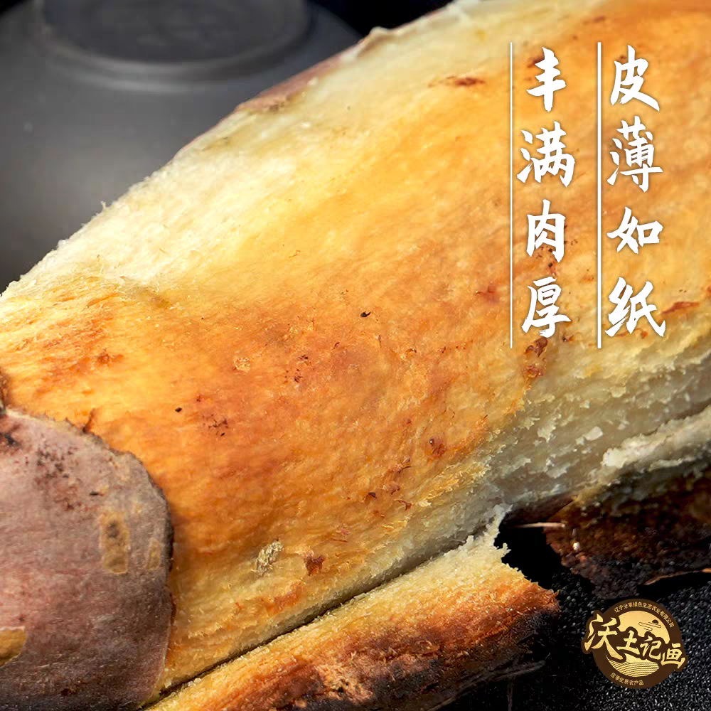 辽西文君甘薯2号精品薯 4.8斤 地瓜