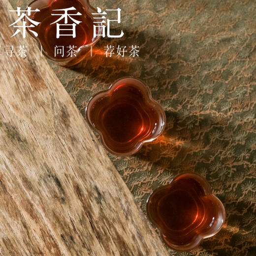 茶香记 观云起普洱熟茶014整扎 布朗山 荒野古树 层次丰富 醇柔顺滑 商品图3