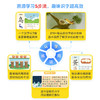 【识字真有趣】 溯源学习5步法，0基础高效识字1200；210+源流识字动画视频 商品缩略图1