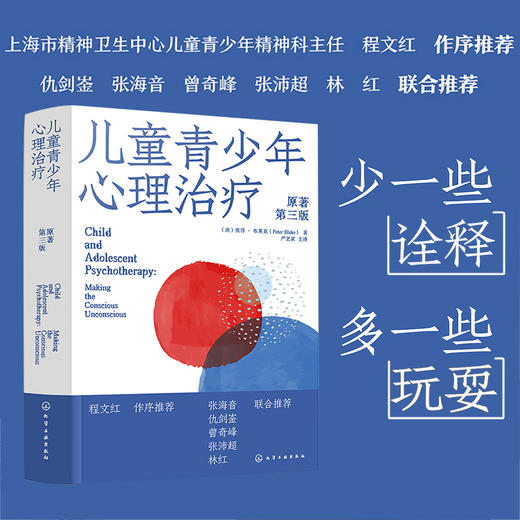 儿童青少年心理治疗 原著第3版 商品图4