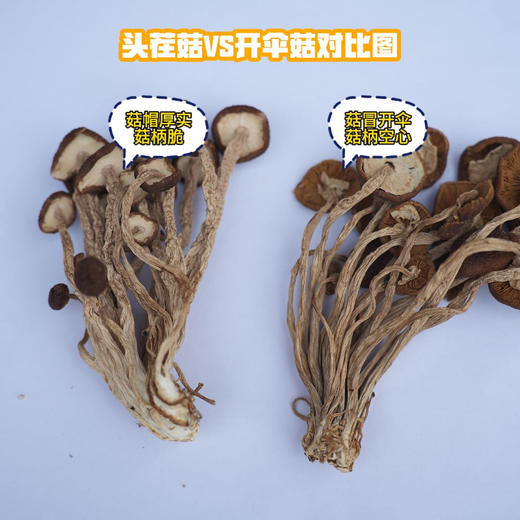 大促活动||江西广昌 茶树菇双拼 精选头茬 新鲜上市 汤鲜味美 爆炒厚实有嚼劲 菇冒厚 不开伞 菇柄脆 商品图3