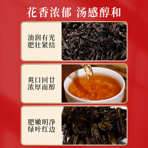 岩语 厚韵中火大红袍 茶叶试饮装特级武夷岩茶乌龙茶叶盒装16g 商品图1