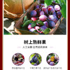 礼好丝路   西梅干 商品缩略图2