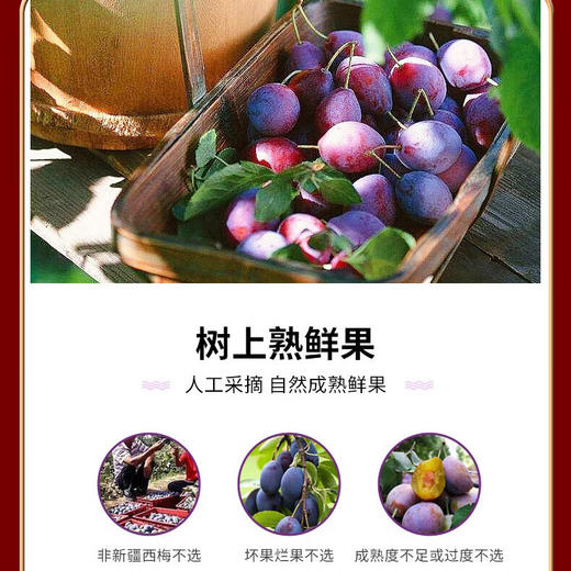 礼好丝路   西梅干 商品图2