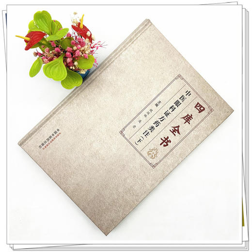 四库全书中医眼科证方药类注（下册）魏琛琳 庞荣 主编 中国中医药出版社 商品图2