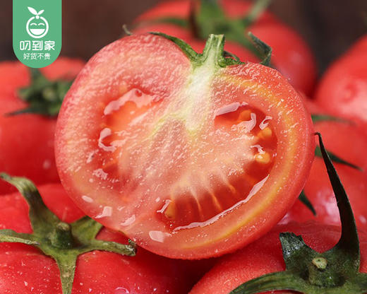 【预售-4月8日配送】陕西泾阳普罗旺斯番茄/1箱（9-17枚，共2kg±100g） 商品图2