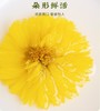 硒都金丝皇菊高山皇菊菊花代用茶清火健康饮品 商品缩略图3