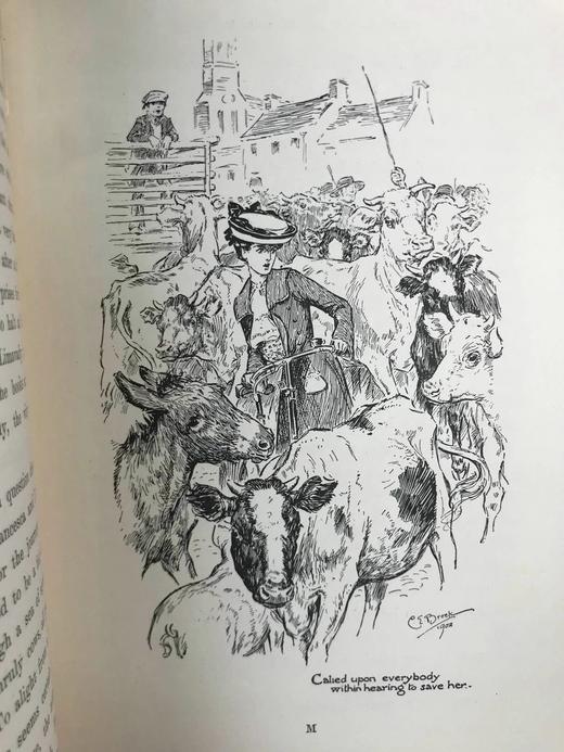 1902年 凯特·道格拉斯·威金《佩内洛普的爱尔兰经历》  C.E.布洛克数十幅插图 漆布精装32开 商品图5