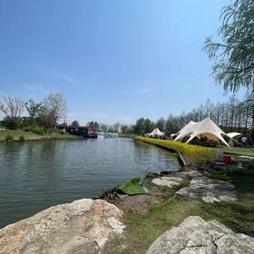 虞美人盛开的花海特色露营场地