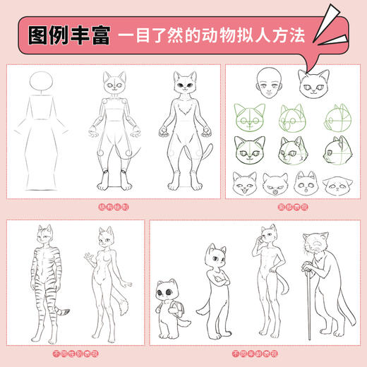 变身毛茸茸 二次元兽设创想集 商品图3