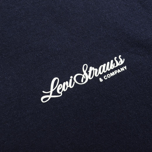 LEVIS 夏 大童小童 儿童童装Polo衫 LVB-PL-K701 商品图3