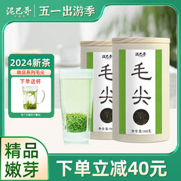 【2024新茶】泥巴哥精品毛尖嫩芽绿茶明前春茶100g*2罐