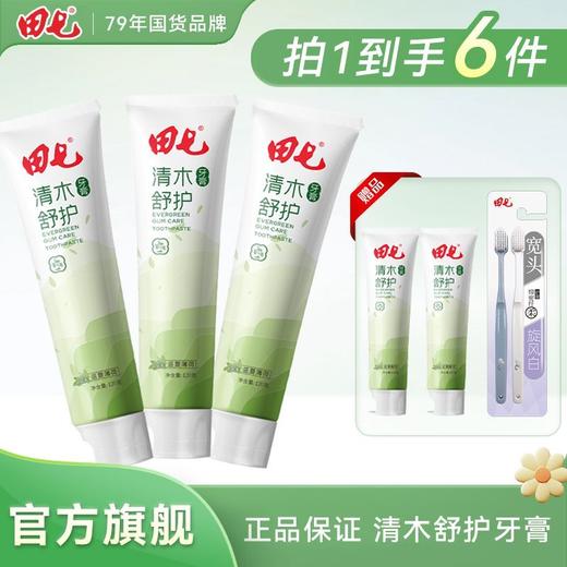 田七牙膏清木皓齿沁爽牙膏清新口气清洁口腔益生元清火防龋正品 商品图4
