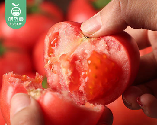 【预售-4月8日配送】陕西泾阳普罗旺斯番茄/1箱（9-17枚，共2kg±100g） 商品图3