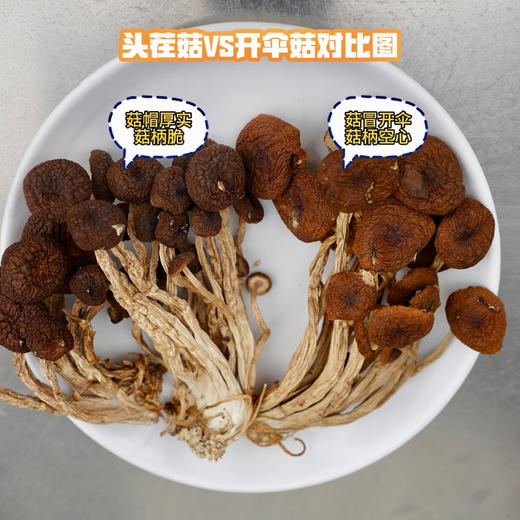 大促活动||江西广昌 茶树菇双拼 精选头茬 新鲜上市 汤鲜味美 爆炒厚实有嚼劲 菇冒厚 不开伞 菇柄脆 商品图4