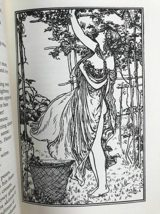 含藏书票限量版！济慈诗集 10余幅插图 豪华皮装大32开 商品图7