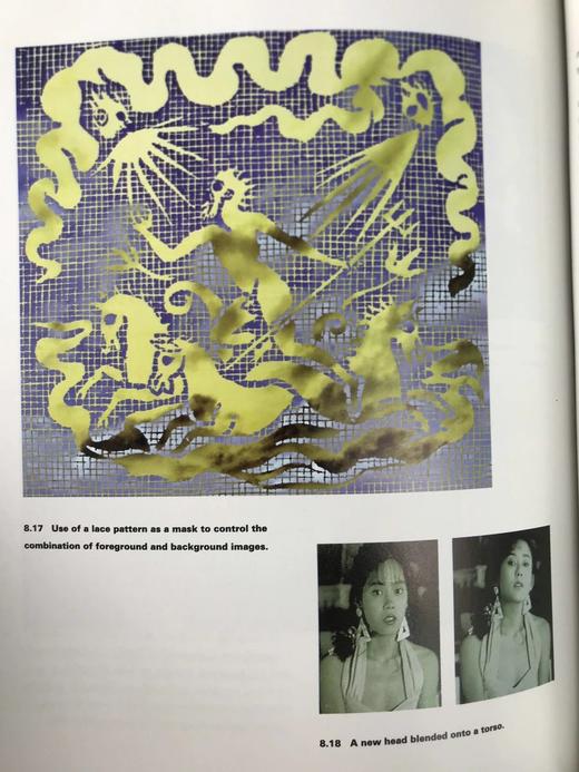 重组的眼睛：后摄影时代的视觉真相 200余幅插图 精装16开 商品图8