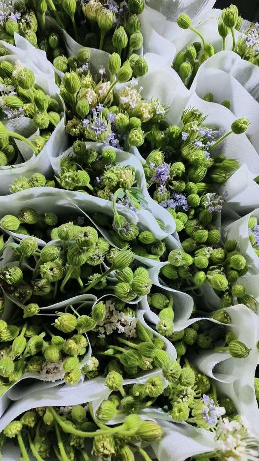 翠珠紫色 商品图0