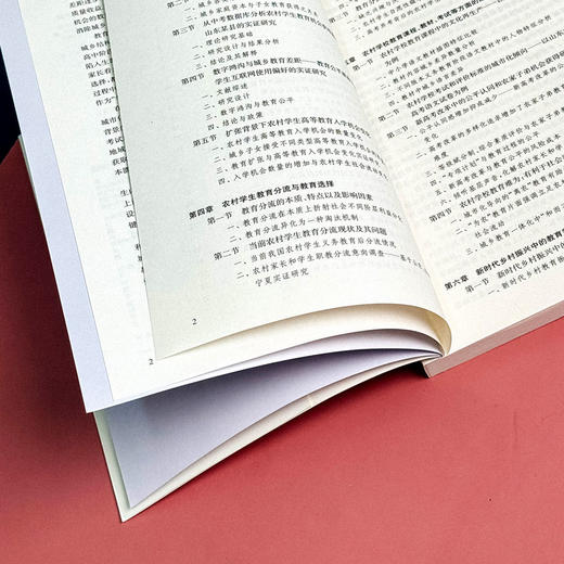 新时代农村教育需求与机会获得研究 张济洲著 促进教育公平 商品图9