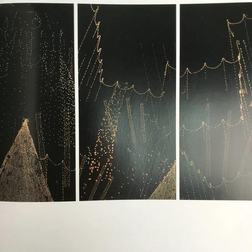 变奏曲：杰尼·奥肯建筑摄影图集 93幅彩色插图 精装大16开 商品图7