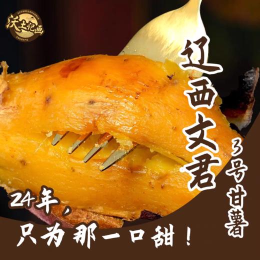 辽西文君甘薯3号精品薯 4.8斤 地瓜 商品图4