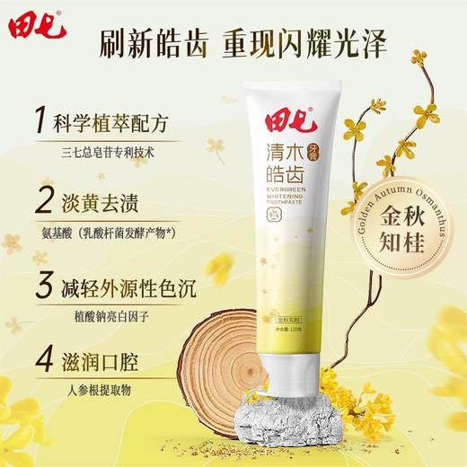 田七牙膏清木皓齿沁爽牙膏清新口气清洁口腔益生元清火防龋正品 商品图8