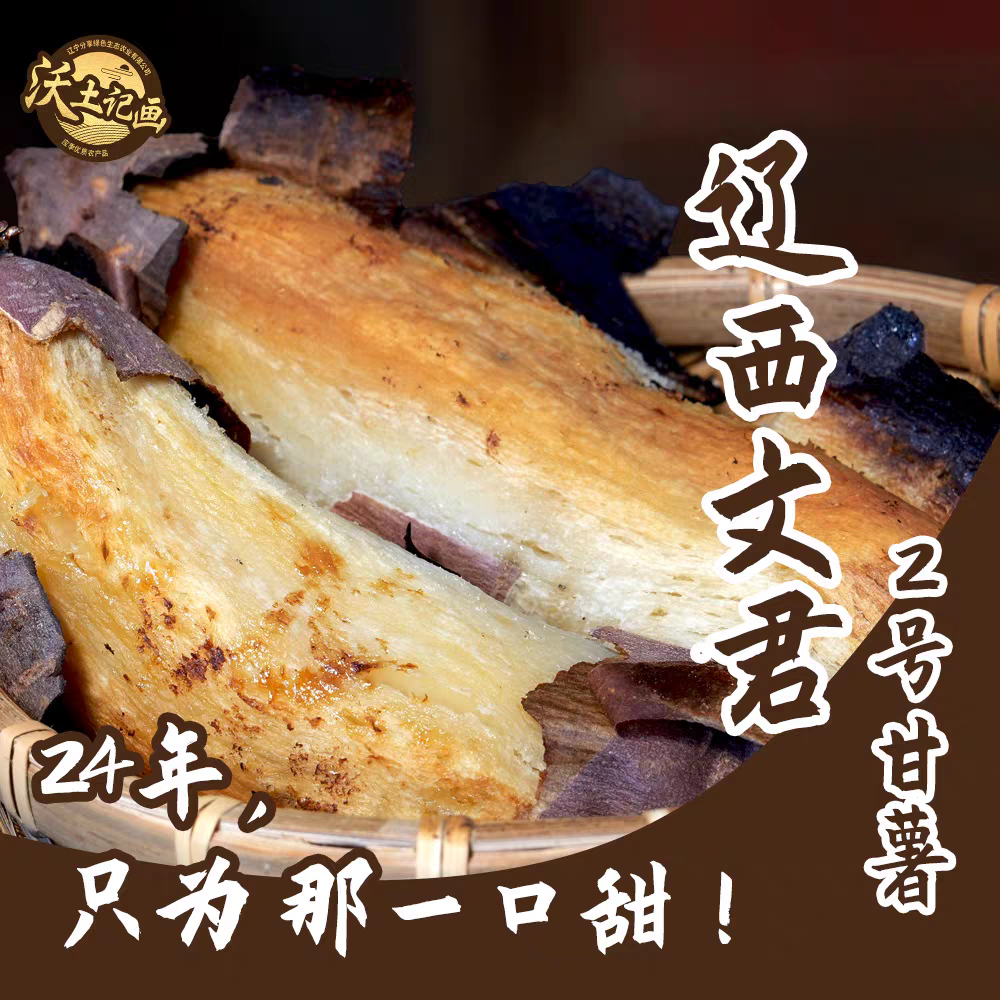 辽西文君甘薯2号精品薯 4.8斤 地瓜