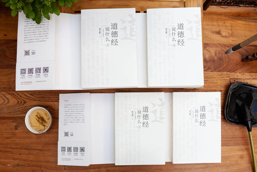 《罗大伦温故知新典藏系列：道德经说什么》全4册 商品图4