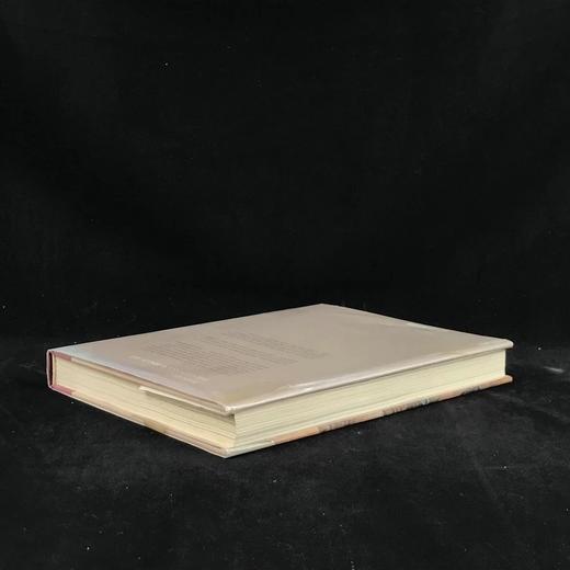 如艺术品的城市：伦敦·巴黎·维也纳 142幅插图 精装16开 商品图2