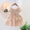 【送包包！】女童夏季连衣裙2024新款儿童碎花裙宝宝公主裙小女孩夏季裙子 商品缩略图2