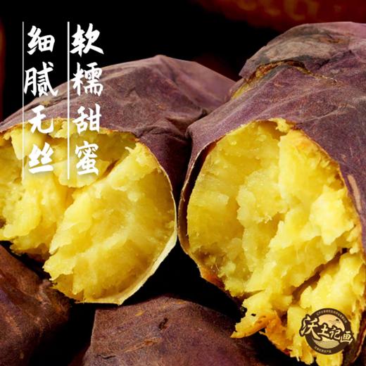 辽西文君甘薯3号精品薯 4.8斤 地瓜 商品图3