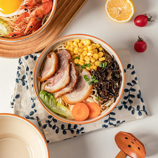 摩登主妇mototo熊猫国风大号陶瓷家用高级感汤碗吃面专用碗拉面碗 商品图4