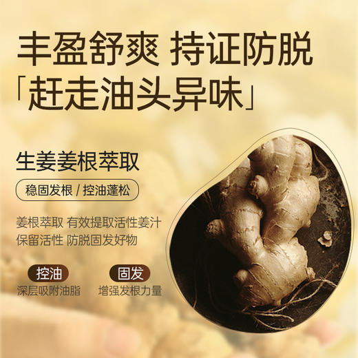 【🔥爆款满减|最高立减￥50】生姜洗发水500ml 滋养发根护发控油蓬松去屑止痒洗头露旗舰店正品|儒意官方旗舰店 商品图4