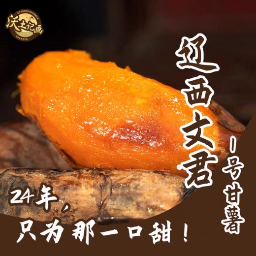 辽西文君甘薯1号精品薯 4.8斤 地瓜 商品图0