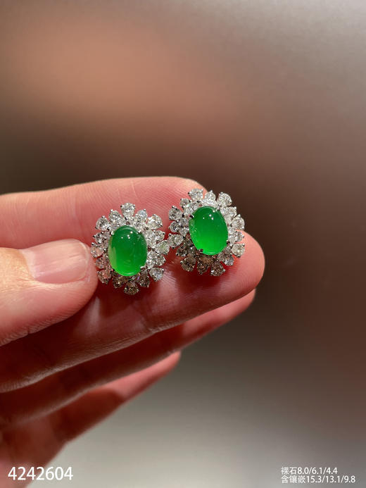 高冰艳绿蛋面耳钉【4242604】具体价格微信咨询 商品图1
