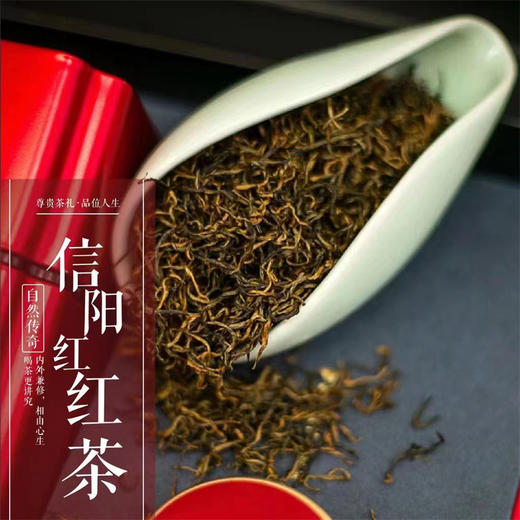 信隆晟信阳红茶茶叶正宗工夫红茶高山芽叶125克×2盒礼盒装 商品图6