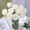 新鲜鲜花  骄傲白玫瑰1束（10支） 商品缩略图0