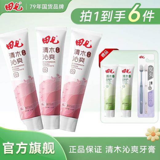 田七牙膏清木皓齿沁爽牙膏清新口气清洁口腔益生元清火防龋正品 商品图3
