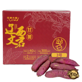 辽西文君甘薯3号精品薯 4.8斤 地瓜