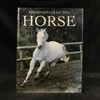 骏马百科全书 400余幅插图 精装16开 商品缩略图0