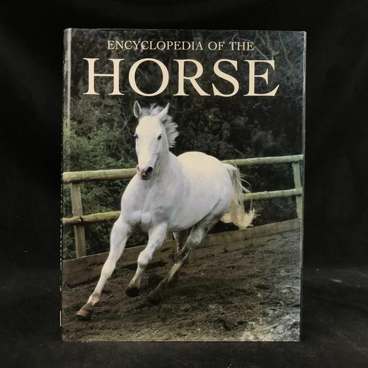 骏马百科全书 400余幅插图 精装16开 商品图0