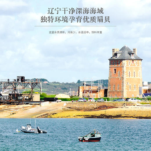 福东海 干贝150g 海鲜干货 淡扇贝干瑶柱 海鲜特产 海产品 干贝150g 商品图3