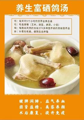 富硒鸽子*2