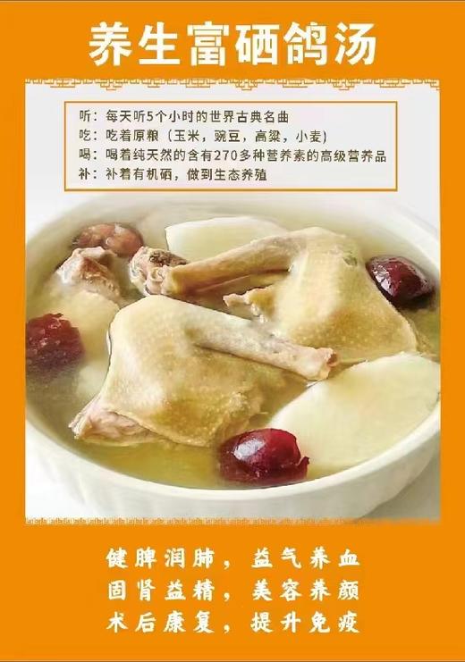 富硒鸽子*2 商品图0